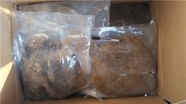 ��������~